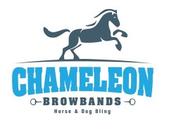 store/news/4058/chameleon logo.jpg